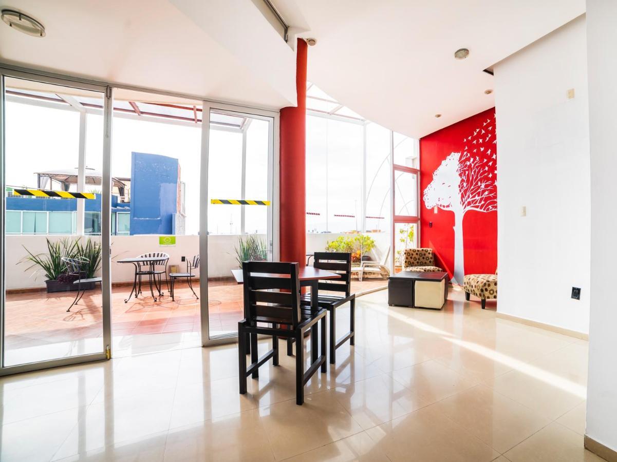Hotel HC Celaya  Buitenkant foto